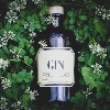 Gin